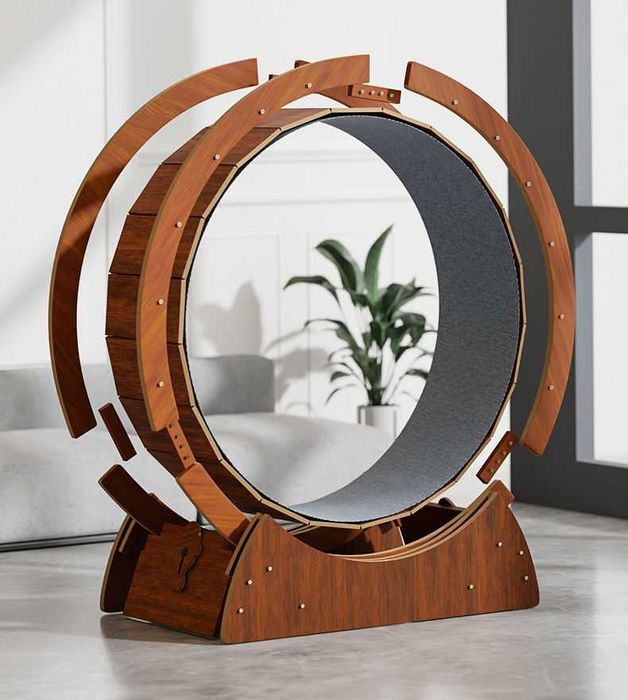 Колело - бягаща пътека за котки