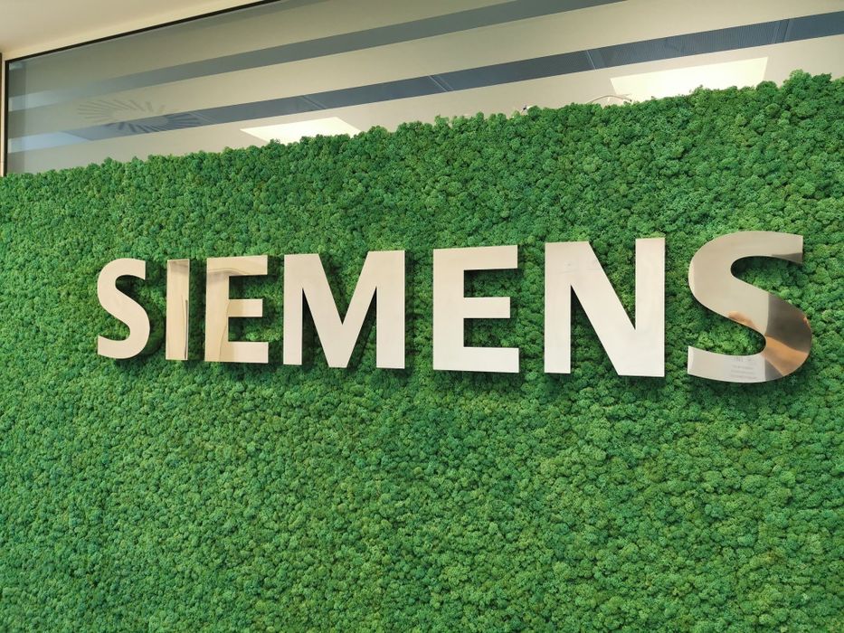 Интериорно озеленяване с естествен скандинавски мъх