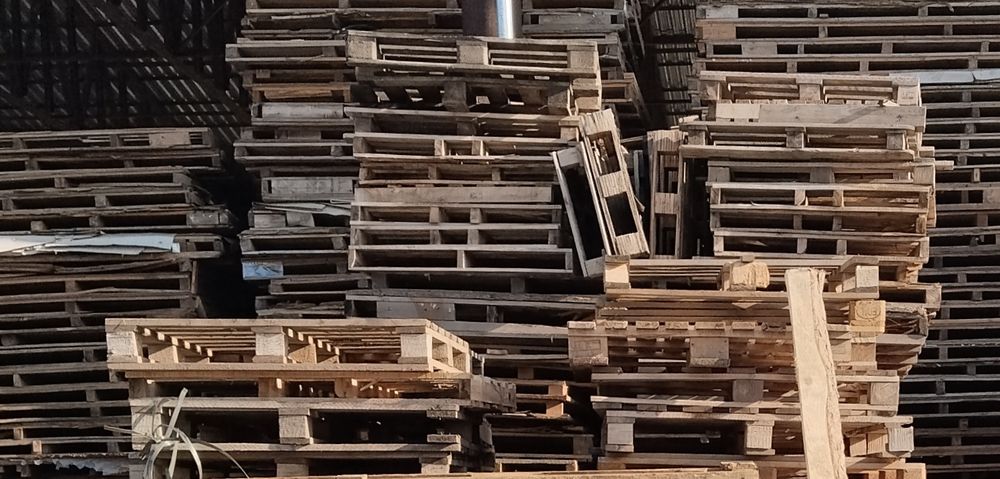 Paddon yevro sotiladi