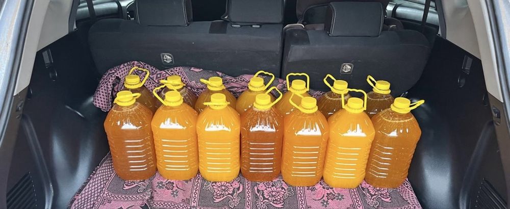 Свежий мёд 2025 года