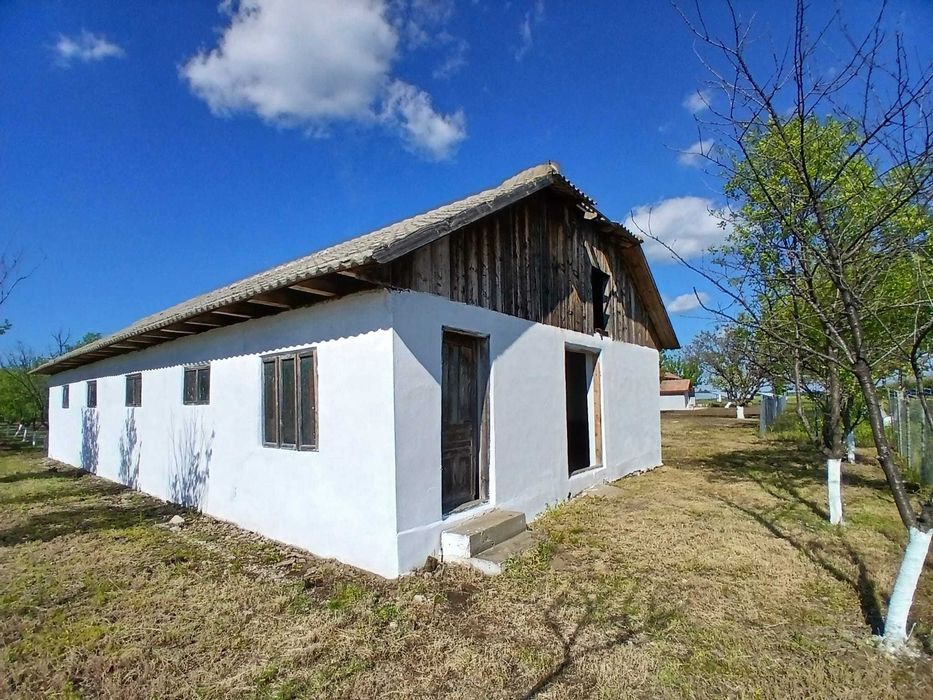casa de vanzare comuna Radovan
