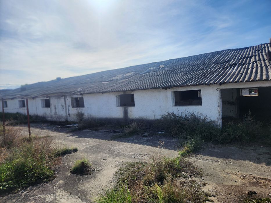 Inchiriez 2 Hale 2000m Sat Rausor Brașov