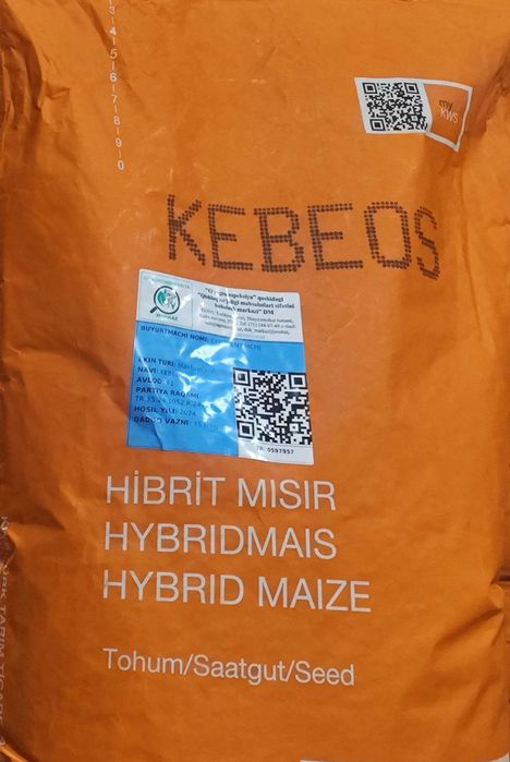 KEBEOS makkajo'xori gibridi urug’lari. Маккажохори Жохори уруги