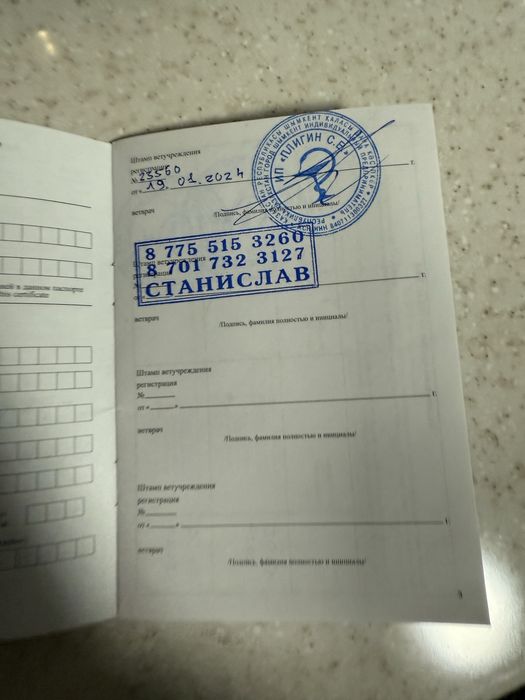 Ротвейлер радословный