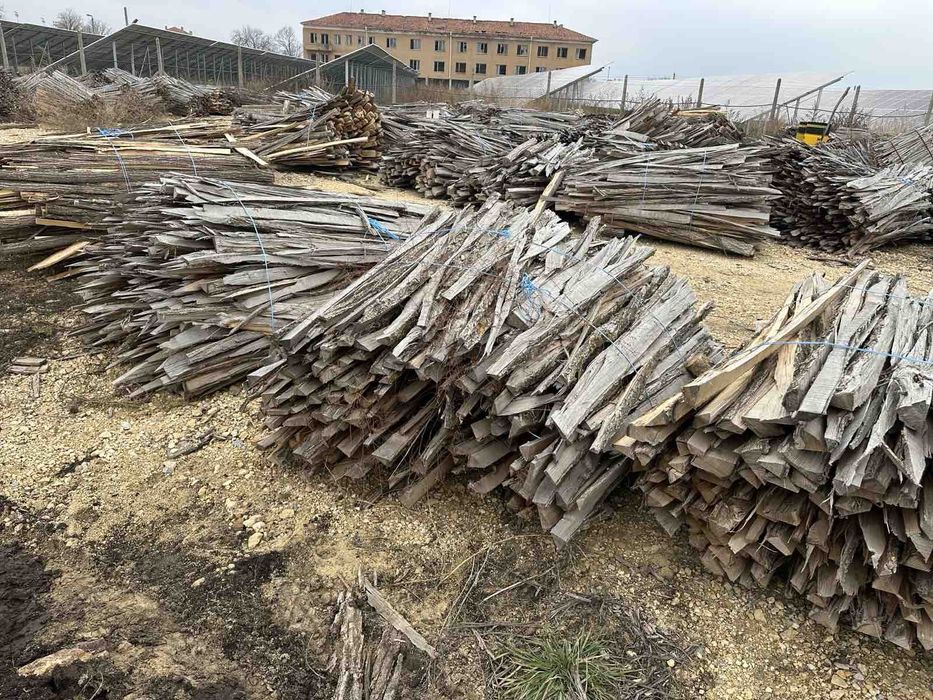 Изрезки  от Акация