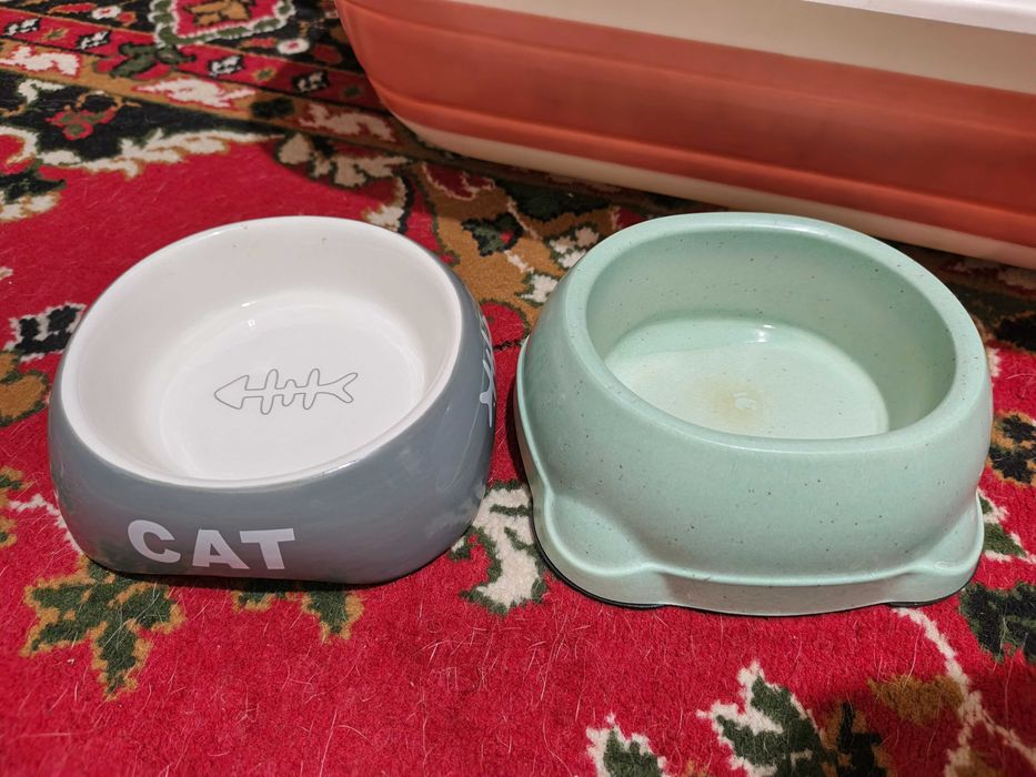 Домик и лоток для котя