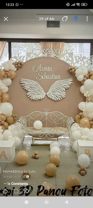 Aripi inger panou/ photocorner