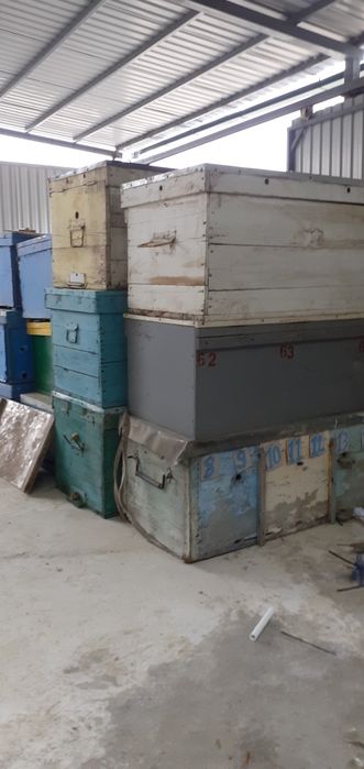 Продаю  ящики  пасика