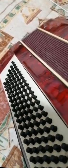 Acordeon Paroot 120 basi rosu sidef