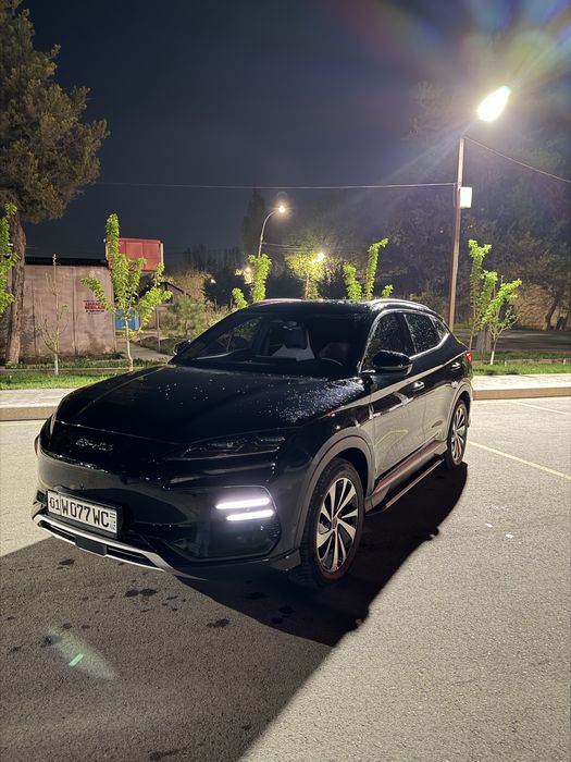 BYD Chempion 2024 Full