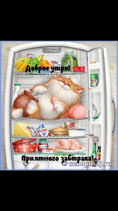 Быстрый и качественный Ремонт холодильников.