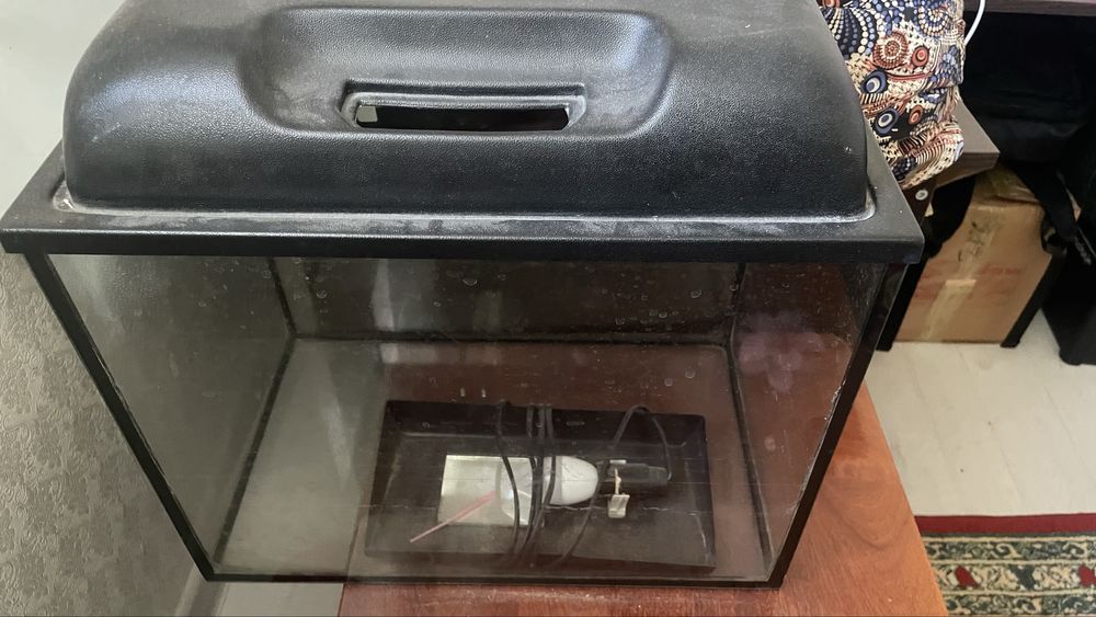 аквариум ,балықтарға