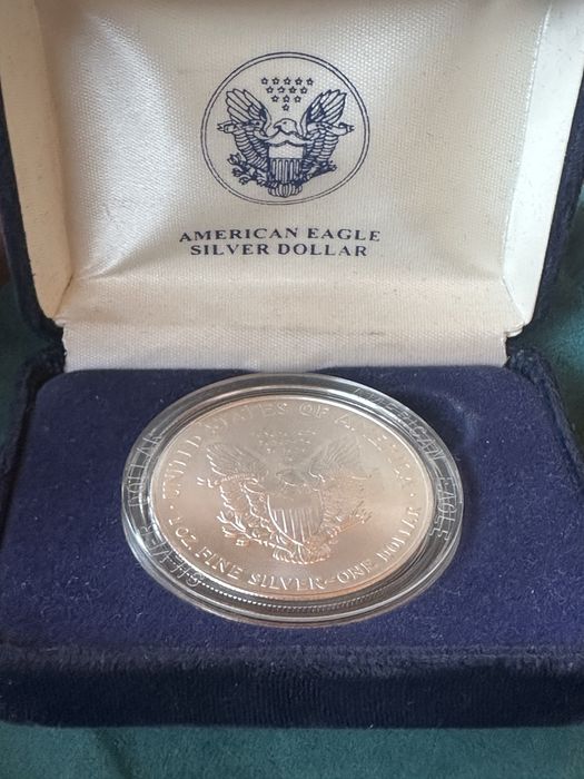 Серебряный доллар