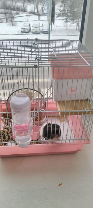 Продам клетку с хомяком