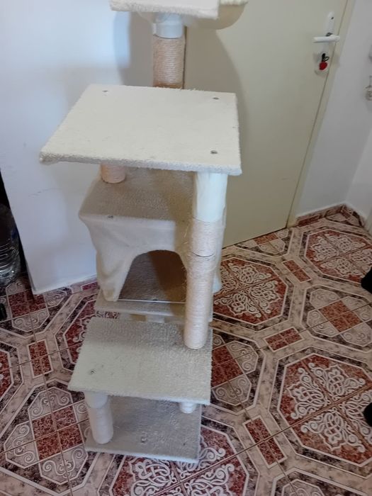 Котешки аксесоари/котешки комплекс.