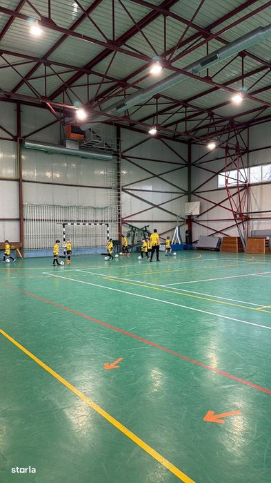 Decebal 300€ conf 2