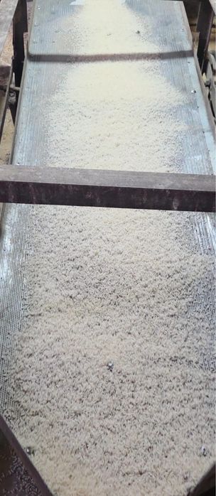 Рис лазер голд натуралный