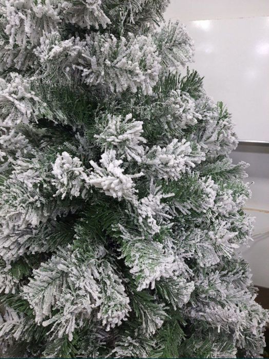 Ёлка северная премиум класса доставка бесплатная