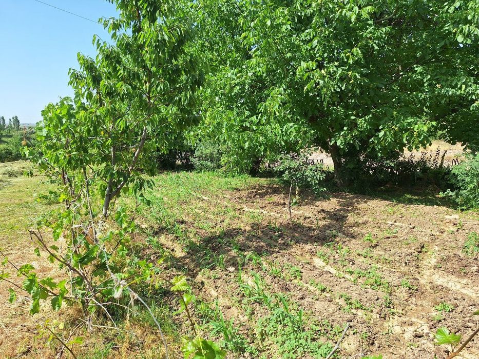 Oqtoshda 6sotix yer maydoni sotiladi.Gorbatiy mostdan 1.5km