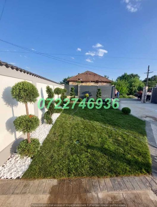 Gazon Verde Intens pentru Amenajări Profesionale