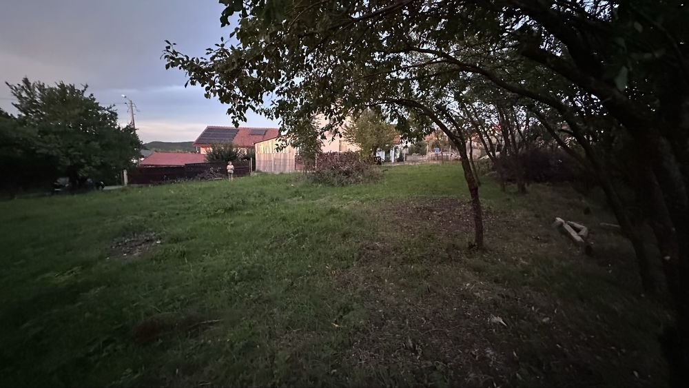 Teren intravilan Sălicea , Cluj