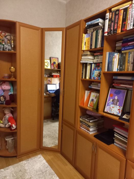 Шкаф для одежды и книг