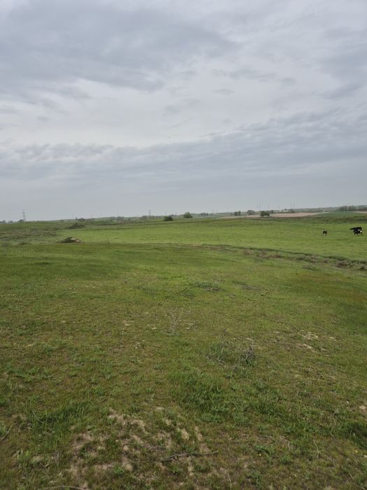 Жер сатылады егістік 5 гектар суғармалы