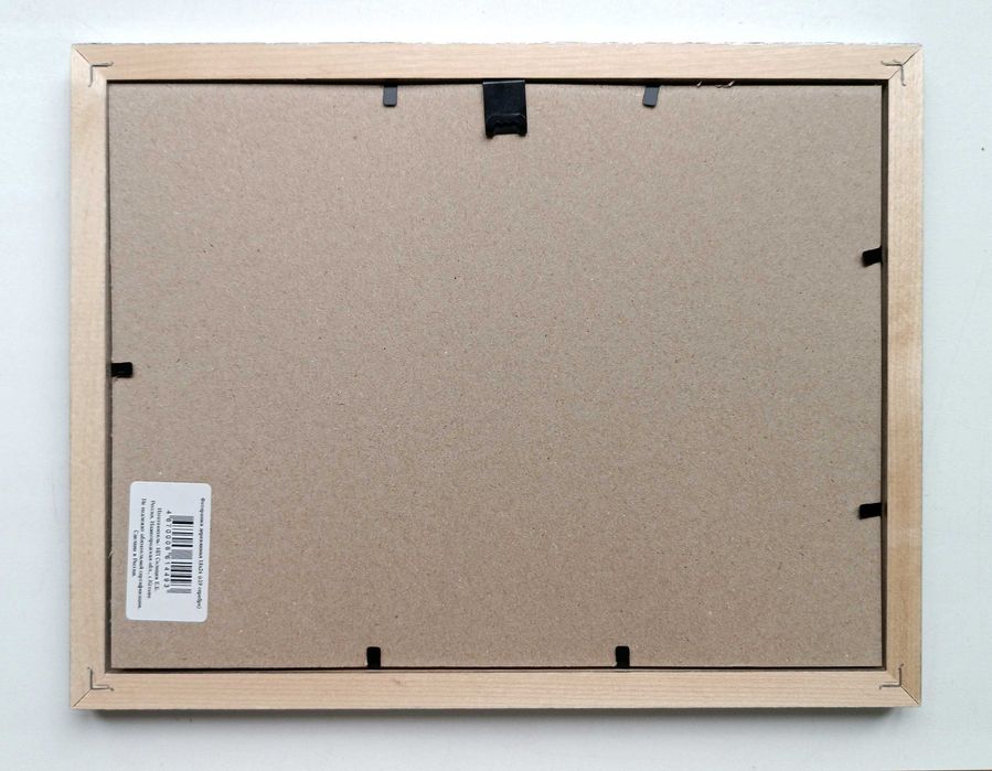 Картина в раме.  "Серебряная рыбка"