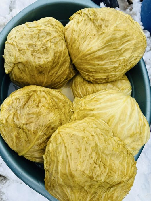 Varza murata Marloo si Romaneasca