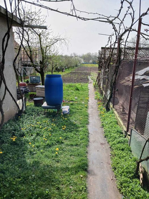 Tarnaveni - Gospodarie de vanzare