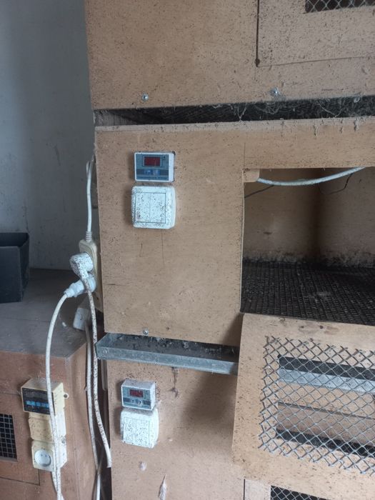 Брудер для цыплят