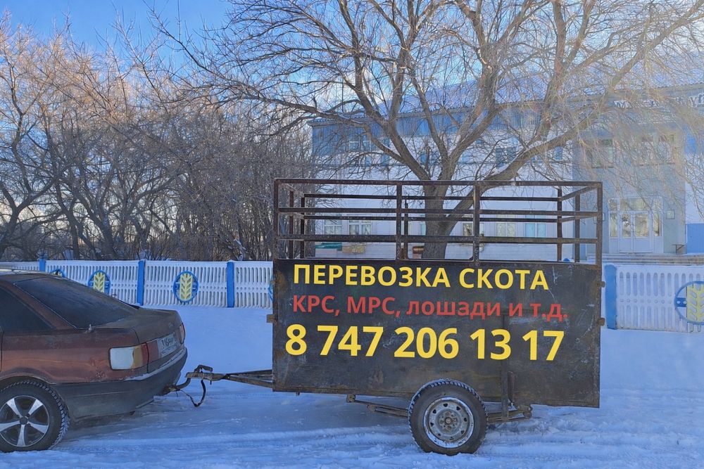 Перевозка скота легковой прицеп