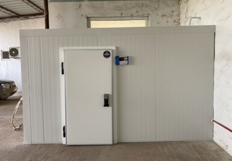 Usa pentru camera frigorifica