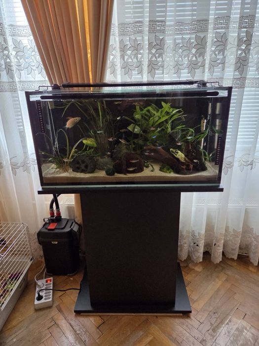 Аквариум за рибки със стойка