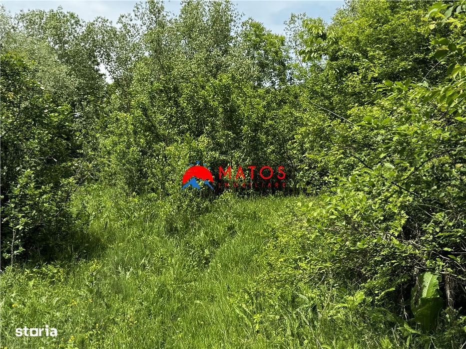 Teren intravilan 1.300 mp în Cornu de Jos, Prahova – zona linistita, u