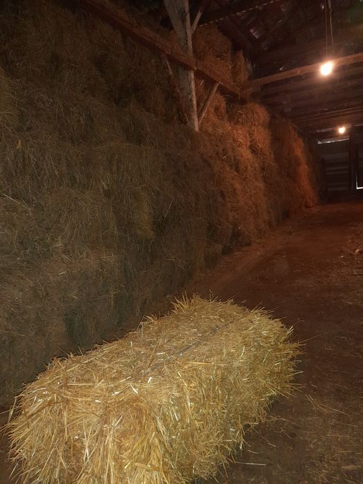 De vanzare Baloti de paie