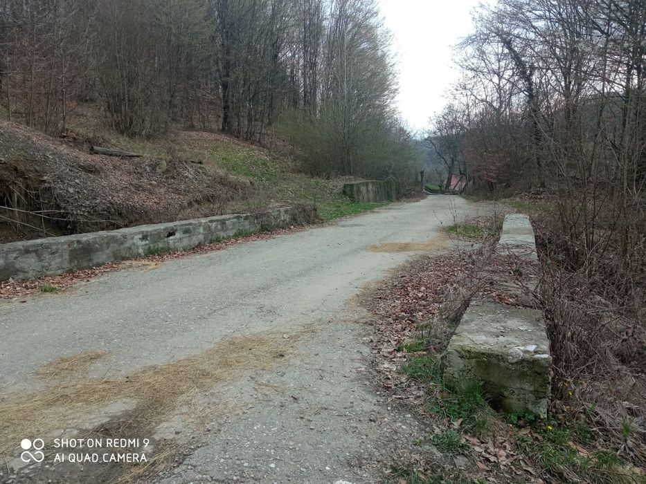 Teren Brădetu, Valea Vâlsanului - Argeș, intravilan!