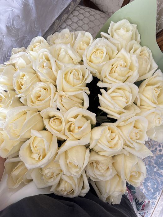33 тал ақ роза гүлдері