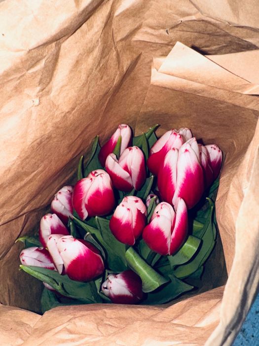 Тюльпаны 70 см к 8 марта