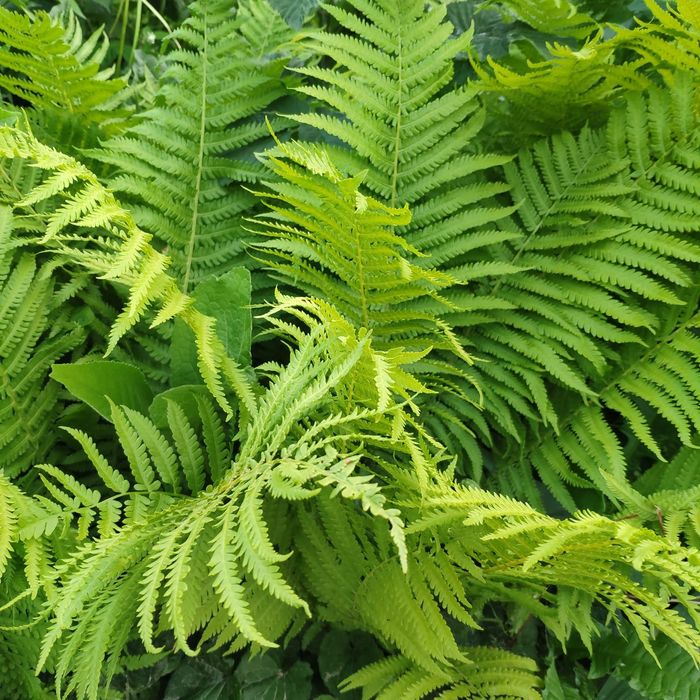 Продам дом в Пригородном