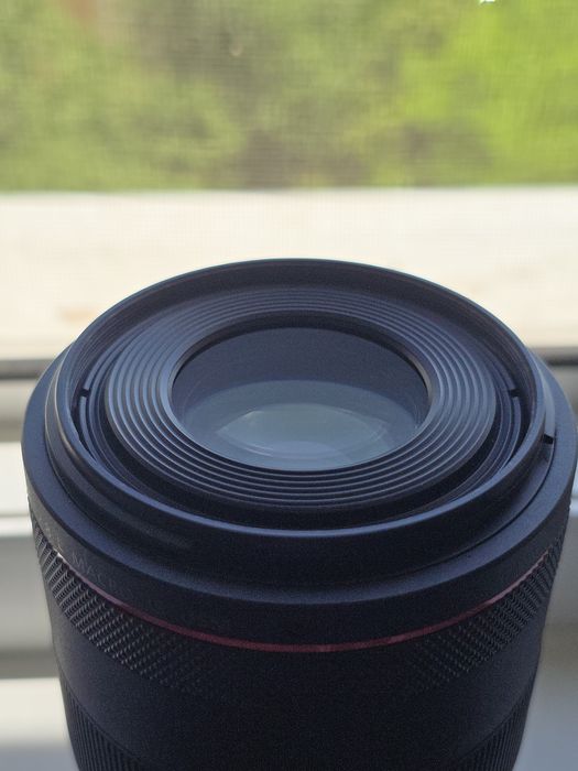 Canon RF 100mm F2.8 L Macro IS USM
