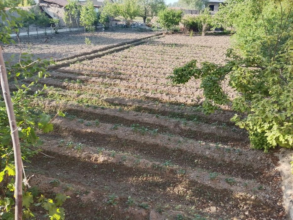 Narpay eski 5 daHovli joy 12 sotigʻli 6 xona remon boʻlgan suv svet ga