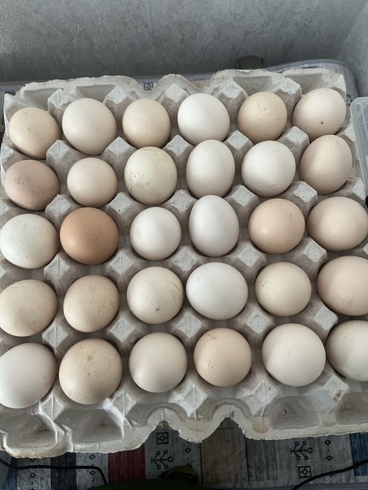 Продам масло, сметану