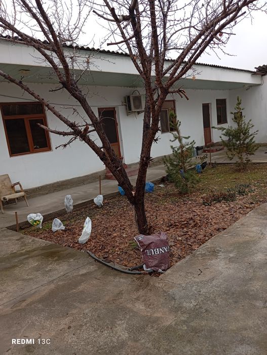 2жилых  дома с удобствами