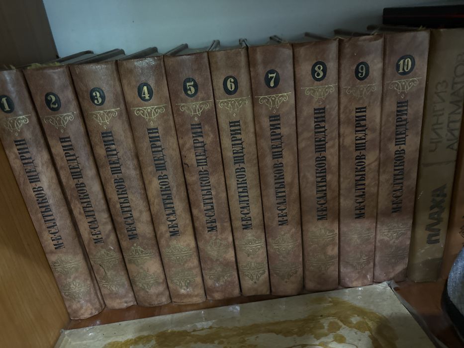 Книги Салтыков -Щедрин