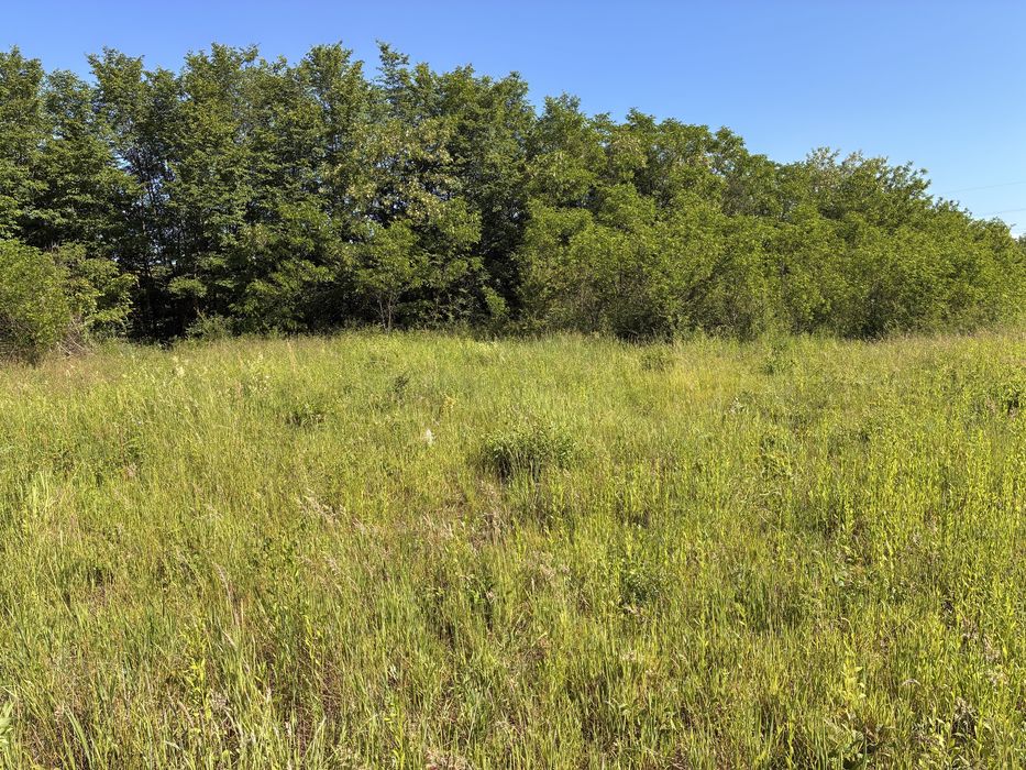 TEREN INTRAVILAN  în HAȚEG, Parcela de 500 m2 cu 5000 de euro lângă Baraj la intrare în Săntamaria Orlea