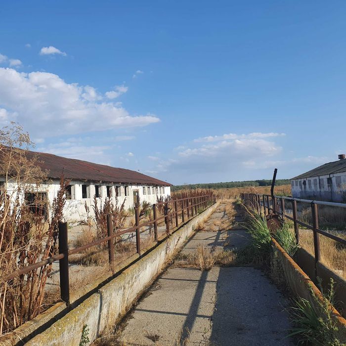 Ferma agricola,de vanzare