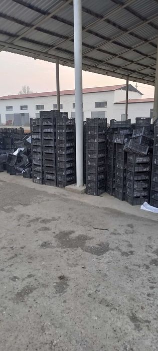 Продам яшике для яблок