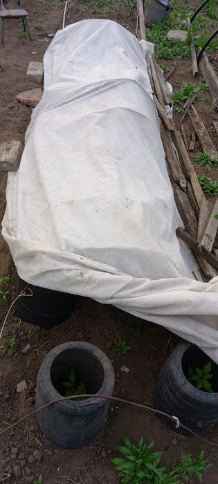 Продам дачу сад Яблонька