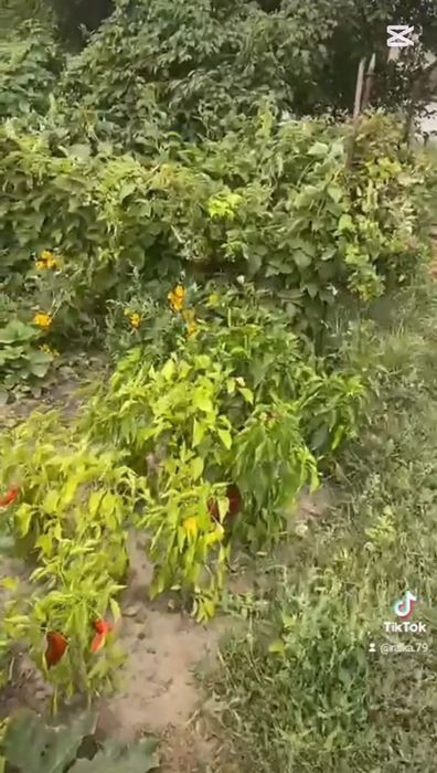 Үй сатылады Қабанбай ауылы